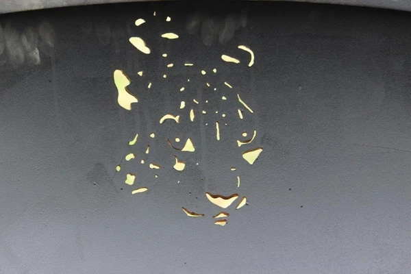 Fire Pit Art Africa's Big Five Game Wood Burning Fire Pit 5 Fire Pit Art Africa's Big Five Game Wood Burning Fire Pit - Image 3