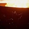 Fire Pit Art Funky Dog Gas Fire Pit - Electronic Ignition 2 Fire Pit Art Funky Dog Gas Fire Pit - Electronic Ignition -Fire Pit Shop fire pit art funky dog gas fire pit electronic ignition 54