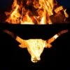 Fire Pit Art Longhorn Gas Fire Pit 1 Fire Pit Art Longhorn Gas Fire Pit -Fire Pit Shop fire pit art longhorn gas fire pit 48